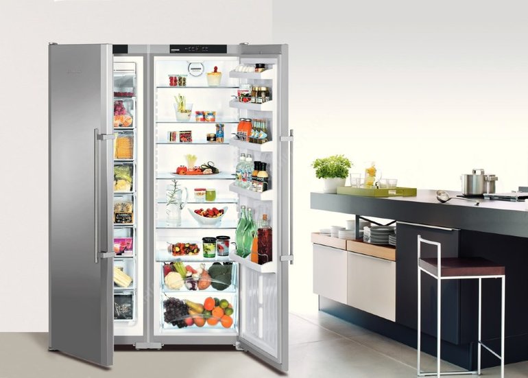 Which refrigerator with a large freezer is the best